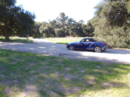 Enlarge photo 274
