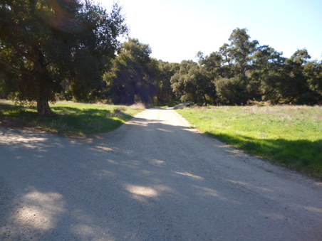 Enlarge photo 275