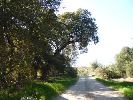 Enlarge photo 276