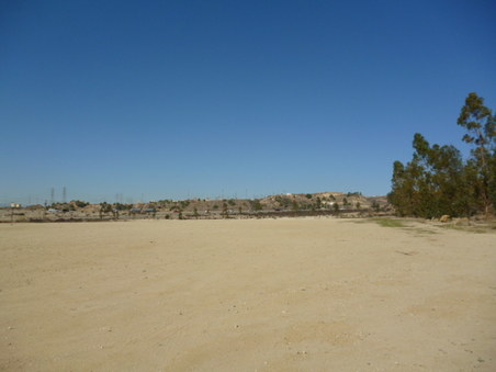 Enlarge photo 278