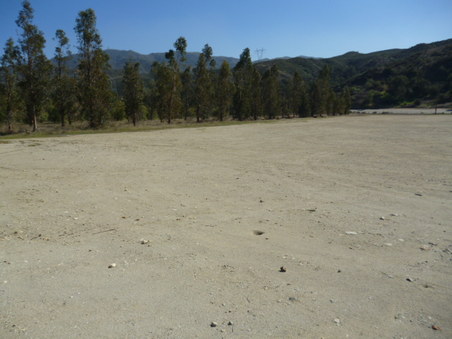 Enlarge photo 281