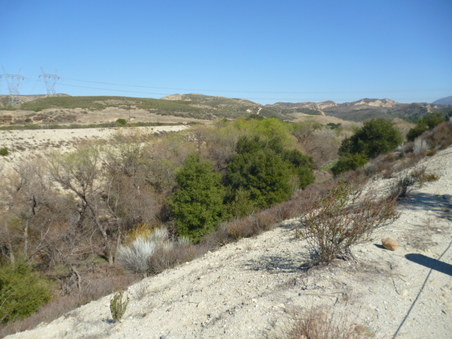 Enlarge photo 282
