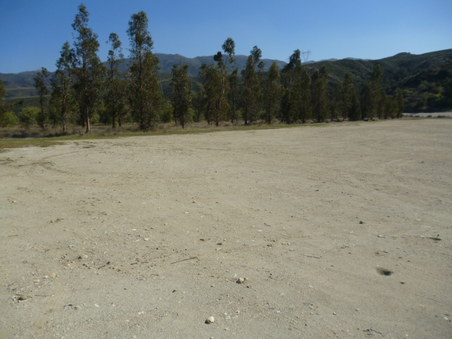 Enlarge photo 284