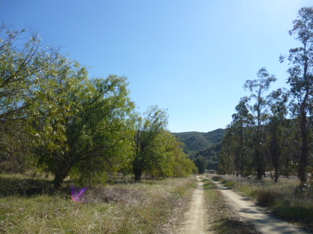 Enlarge photo 285