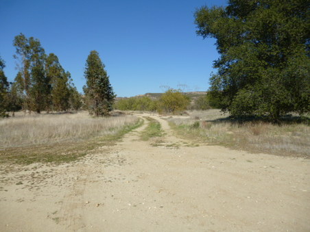 Enlarge photo 286