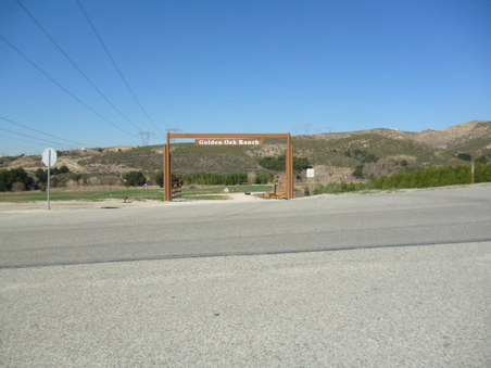 Enlarge photo 294