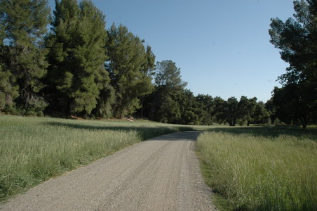 Enlarge photo 14