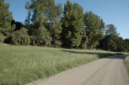 Enlarge photo 15