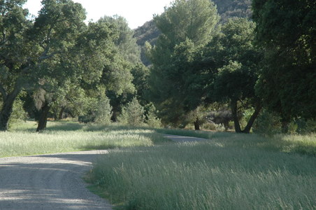 Enlarge photo 17