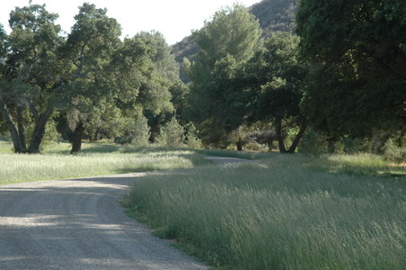 Enlarge photo 18