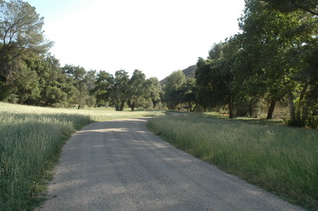 Enlarge photo 19
