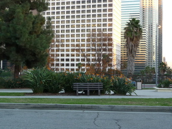 Enlarge photo 40