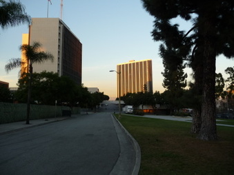 Enlarge photo 41
