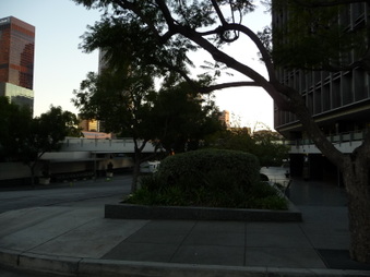 Enlarge photo 52