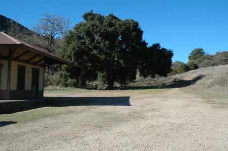 Enlarge photo 84