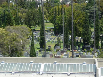 Enlarge photo 46