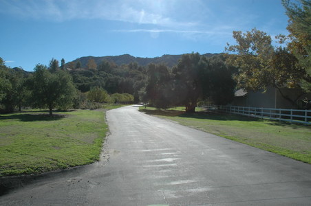 Enlarge photo 6