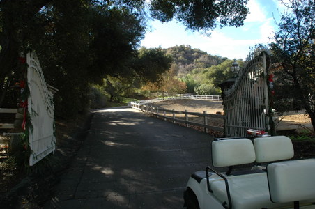 Enlarge photo 8