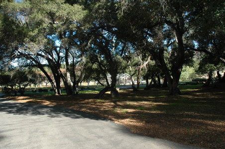 Enlarge photo 14