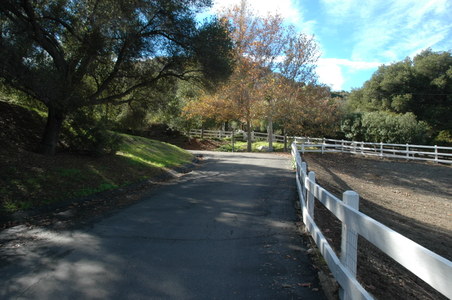 Enlarge photo 16