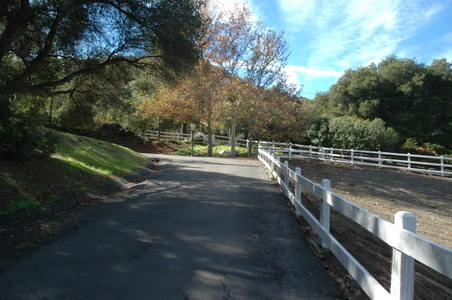 Enlarge photo 17