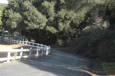 Enlarge photo 18