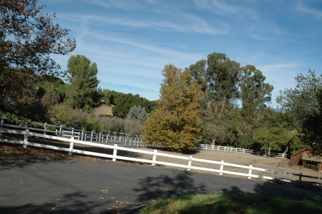Enlarge photo 21