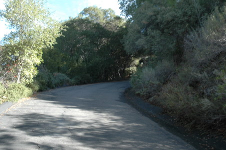 Enlarge photo 24