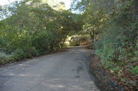 Enlarge photo 25