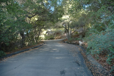 Enlarge photo 26