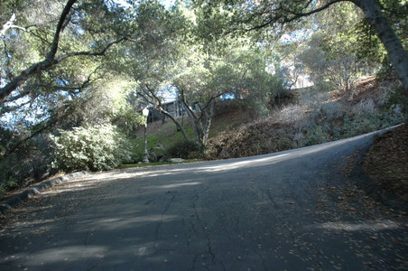 Enlarge photo 27