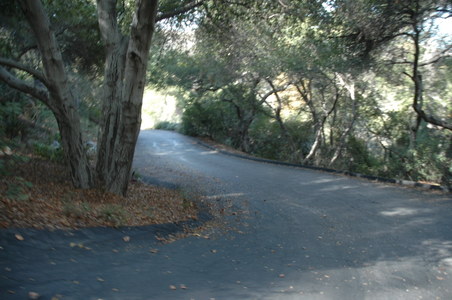 Enlarge photo 28