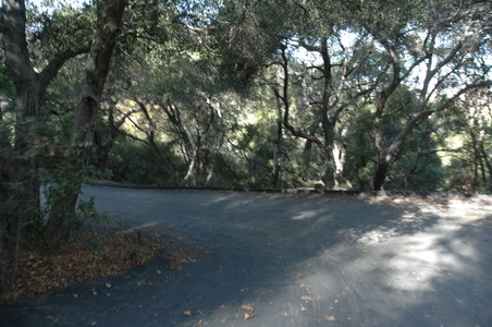 Enlarge photo 29
