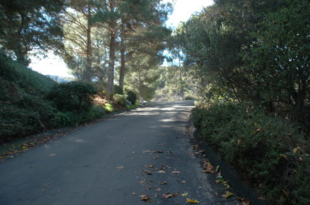 Enlarge photo 30