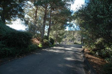 Enlarge photo 31