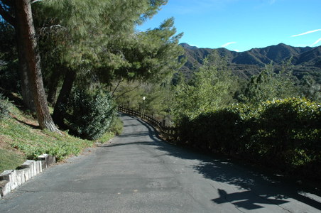 Enlarge photo 32