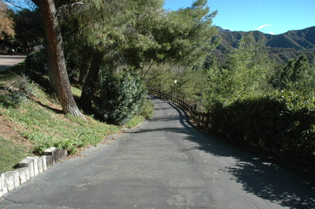 Enlarge photo 33