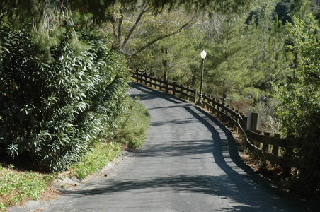 Enlarge photo 34