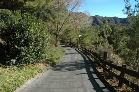 Enlarge photo 35