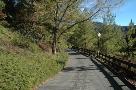 Enlarge photo 36