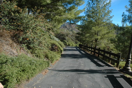 Enlarge photo 37