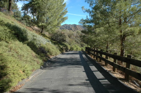 Enlarge photo 38
