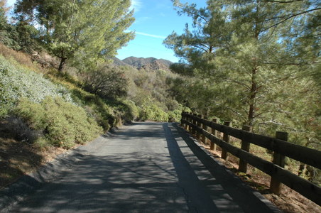 Enlarge photo 39