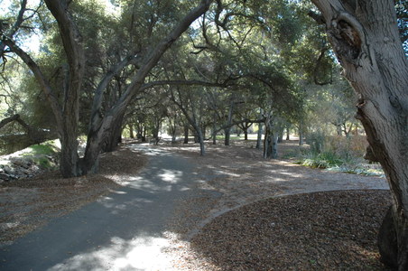 Enlarge photo 40