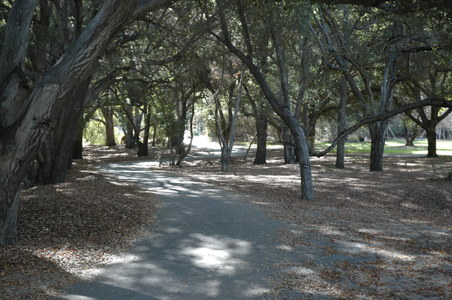 Enlarge photo 41