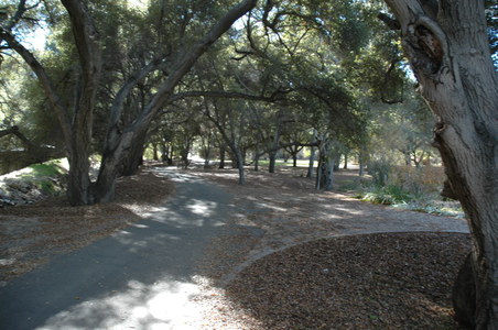 Enlarge photo 42