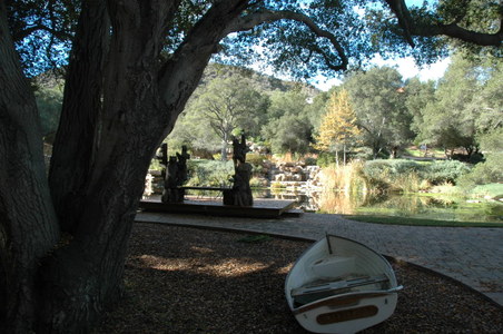 Enlarge photo 43