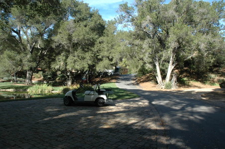 Enlarge photo 45