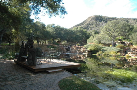 Enlarge photo 46