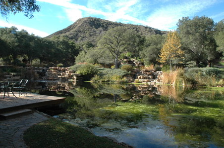 Enlarge photo 47